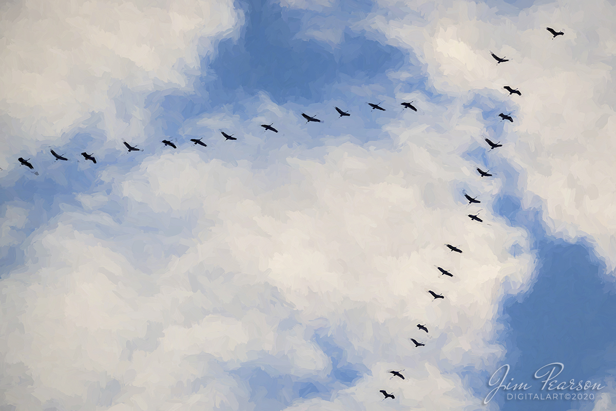 WEB-Digital Art-01.26.20 Geese Flying North, Princeton, Indiana