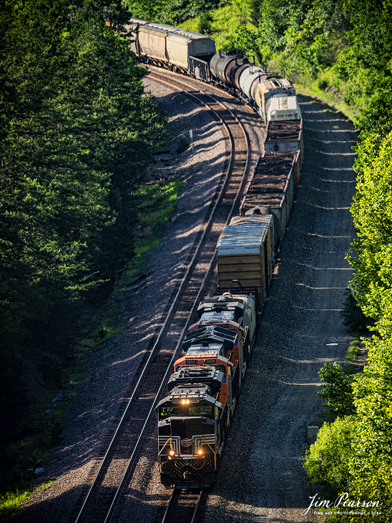 Norfolk Southern New York Central Heritage unit 1066 leads NS 167 as it heads south at Keno cut on the NS CNO&TP (Rathole) Second District, south of Tateville, Kentucky, on June 7th, 2024. 

This was my second trip to chase the Rathole and again didn’t make it all the way to Danville, Ky like I had planned as me and fellow railfan Ryan Scott (SteelRails) decided to go to High Bridge, Ky instead and then ran out of time shooting there! We're already panning another trip to chase north from Danville.

Tech Info: Nikon D800, Sigma 150-600 @ 350mm, f/5.6, 1/500, ISO 320.

#trainphotography #railroadphotography #trains #railways #trainphotographer #railroadphotographer #jimpearsonphotography #KinoCut #NorfolkSouthern #TennesseeTrains