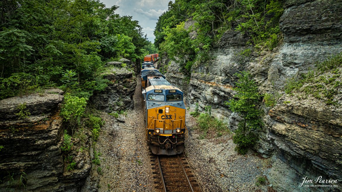 CSXT 3258 leads CSX I025 through a rock cut between the south end of Bakers Tunnel and Baker Station Road near Ridgetop, Tennessee as they head south on the CSX Henerson Subdivision, on July 25th, 2024.

Tech Info: DJI Mavic 3 Classic Drone, RAW, 22mm, f/2.8, 1/1600, ISO 350.

#railroad #railroads #train #trains #bestphoto #railroadengines #picturesoftrains #picturesofrailway #bestphotograph #photographyoftrains #trainphotography #JimPearsonPhotography #trendingphoto #csxt #trainsfromadrone