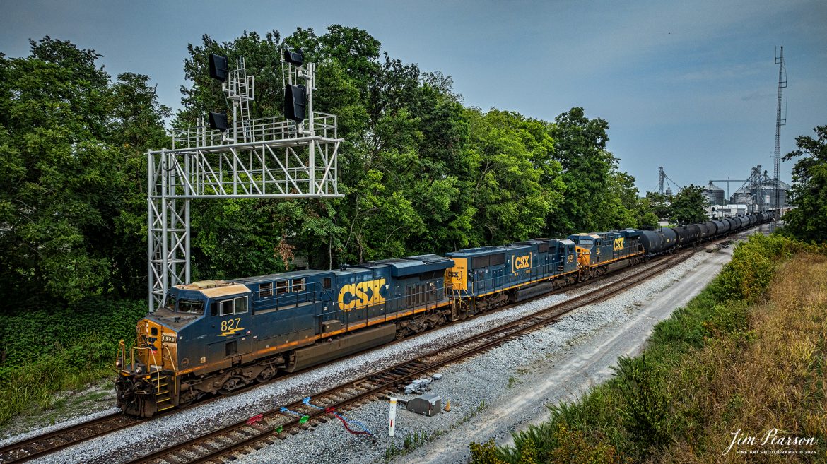 CSXT 827 leads CSX M502 as it passes under the SB signals at Pembroke, Kentucky on July 25th, 2024, as it heads north on the Henderson Subdivision. This is a daily train on the subdivision which runs between Radnor Yard in Nashville, TN and Clearing Yard - Chicago, IL. 

Tech Info: DJI Mavic 3 Classic Drone, RAW, 24mm, f/2.8, 1/2500, ISO 150.

#trainphotography #railroadphotography #trains #railways #dronephotography #trainphotographer #railroadphotographer #jimpearsonphotography #trains #csxt #mavic3classic #drones #trainsfromtheair #trainsfromadrone