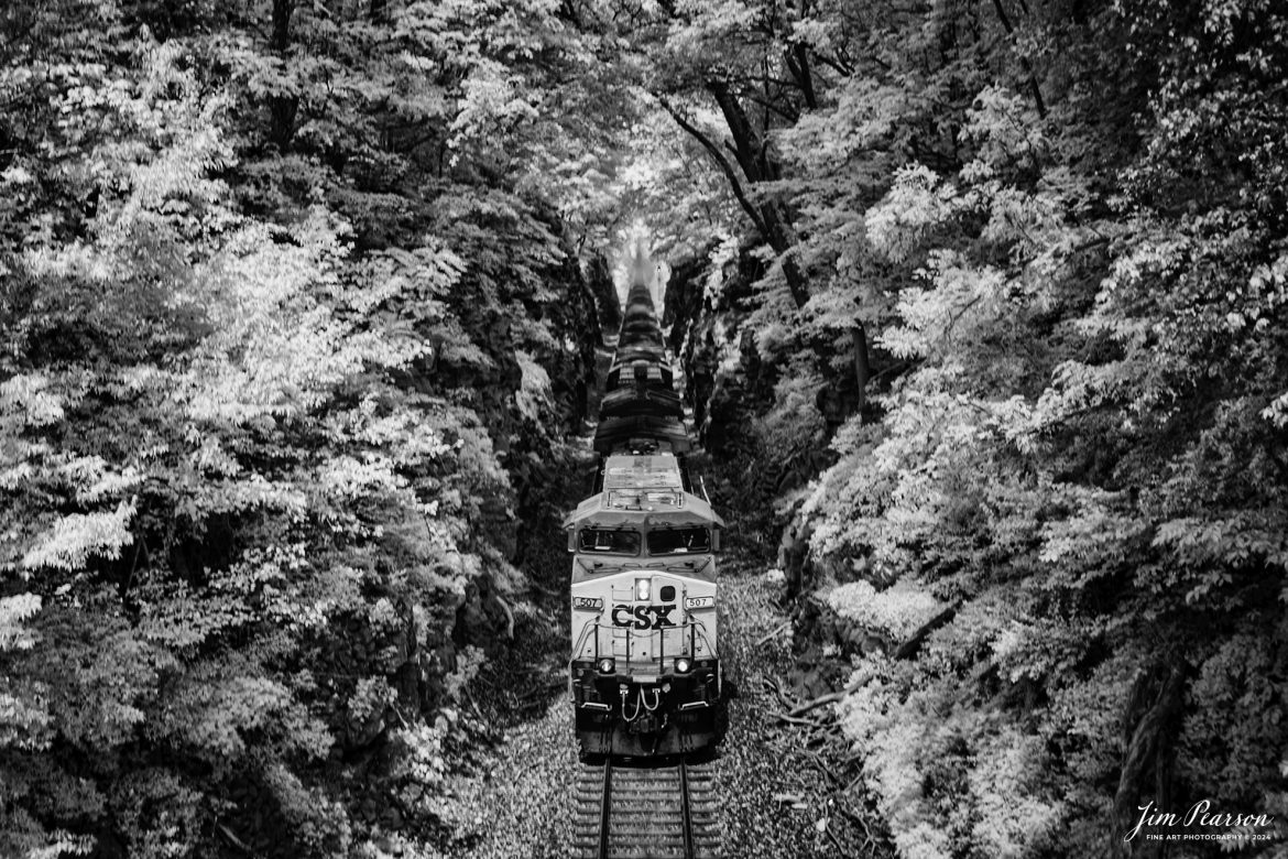 In this week’s Saturday Infrared photo, we catch loaded coal train C305 as it heads south through the Red River Cut, at Adams, Tennessee, on July 31st, 2024.

Tech Info: Fuji XT-1, RAW, Converted to 720nm B&W IR, Nikon 10-24mm @ 24mm, f/5.6, 1/60, ISO 200.

#trainphotography #railroadphotography #trains #railways #jimpearsonphotography #infraredtrainphotography #infraredphotography #trainphotographer #railroadphotographer #infaredtrainphotography #csxt #trending