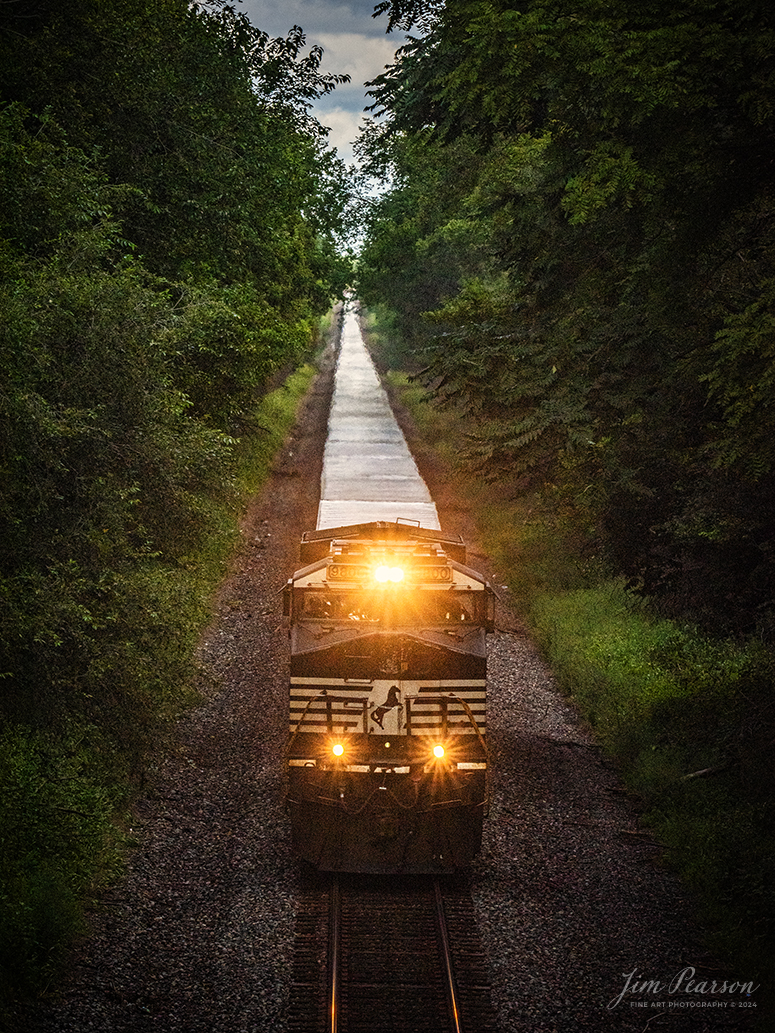 Norfolk Southern 9800 leads NS 255 Triple Crown RoadRailer train westbound at Shadeland, Indiana on the NS Lafayette District on August 17th, 2024. The RoadRailer trains will become a thing of the past as of the 24-25th of August 2024 as the service will be discontinued and transitioned fully to standard double-stack trains.

According to Wikipedia: A RoadRailer is a trailer or semi-trailer that can be hauled on roads by a tractor unit and then by way of a fifth wheel coupling, operate in a unit train on railway lines. The RoadRailer system allows trailers to be pulled by locomotives without the use of flatcars, instead attaching trailers directly to bogies.

Triple Crown, a subsidiary of Norfolk Southern Railway, remains a user of RoadRailer transportation as of 2022. However on August 12th, 2024 they announced the last RoadRailer Trains would be running the weekend of August 24 and 25, 2024. The RoadRailer trains will be replaced temporarily with Trailer on Flat Car (TOFC) service before transitioning fully to a standard double-stack container trains.

Tech Info: Nikon D800, Sigma 150-600 @ 155mm, f/23, 1/800, ISO 1800.

#trainphotography #railroadphotography #trains #railways #trainphotographer #railroadphotographer #jimpearsonphotography #NorfolkSouthern #IllinoisRailroads