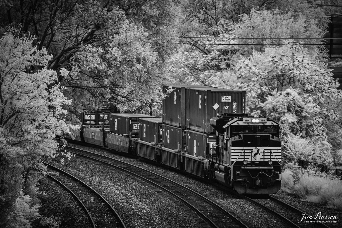 In this week’s Saturday Infrared Photo, we find Norfolk Southern 1214 leading a westbound Triple Crown train NS 251 as it heads through downtown Lafayette, Indiana, on the NS Lafayette District on August 30th, 2024. This train and its counterpart NS 252 have replaced the RoadRailer trains that used to run through here.

Tech Info: Fuji XT-1, RAW, Converted to 720nm B&W IR, Nikon 70-300 @ 225mm, f/5.6, 1/180, ISO 200.

#trainphotography #railroadphotography #trains #railways #jimpearsonphotography #infraredtrainphotography #infraredphotography #trainphotographer #railroadphotographer #csxrailroad #infraredphotography #trending