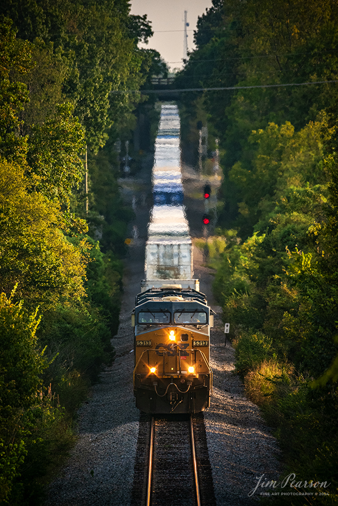 CSXT 5313 leads hot intermodal I026 as it passes over the diamond at trident in Madisonville, Ky as they make their way north on September 11th, 2024, on the CSX Henderson Subdivision in the warm glow of the evening light.

Tech Info: Nikon D800, RAW, Sigma 150-600 @600mm, f/6.3, 1/800, ISO 1250.

#trainphotography #railroadphotography #trains #railways #trainphotographer #railroadphotographer #jimpearsonphotography #onecsx #csxt