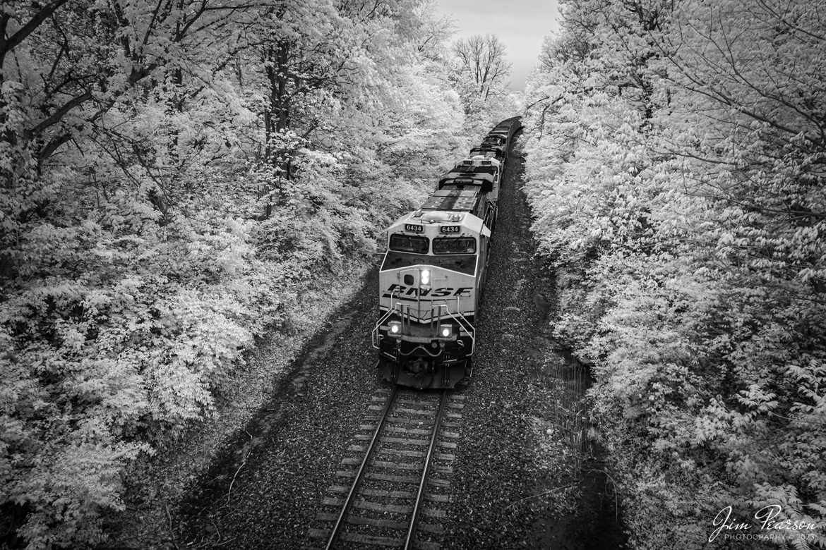 An empty BNSF 4 Rivers empty coal train heads north on April 21st, 2023, on the UP Marion/BNSF Beardstown Subdivision at Goreville, Illinois approaching the Side Street overpass.

Tech Info: Fuji XT1 converted to 720nm, Nikon 10-24 @ 16mm, f/4, 1/250, ISO 400.

#trainphotography #railroadphotography #trains #railways #jimpearsonphotography #trainphotographer #railroadphotographer # infraredtrains #infraredphotography #BNSFtrains #mavic3classic #drones #trainsfromtheair #trainsfromadrone #GorevilleIL #coaltrain #BNSF #southernillinoistrains