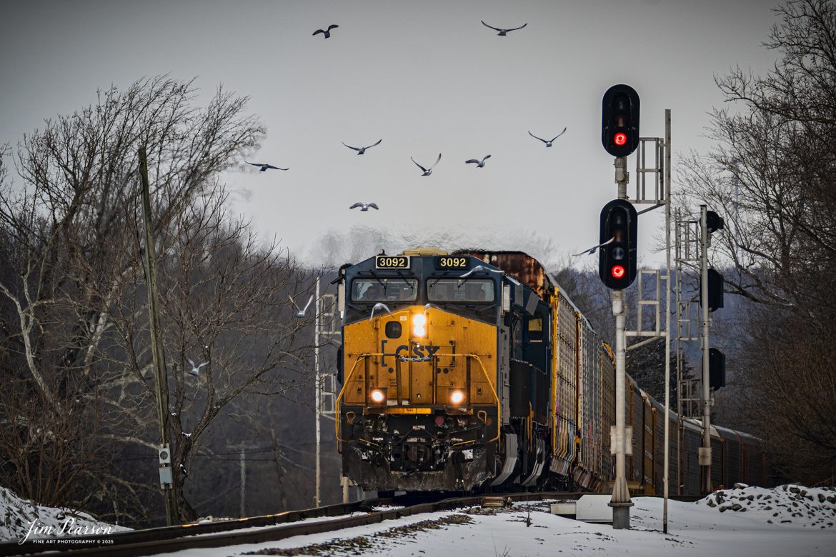 A flock of pigeons that were feeding on spilled corn from a passing train, take flight on the approach of CSX 3092, leading CSX hot intermodal I025, as they head south on the Henderson Subdivision at Mortons Junction after an overnight snowfall, on February 19th, 2025. This intermodal often runs with a string of autoracks, hauling Tesla’s bound for Florida.

Tech Info: Nikon Z30, RAW, Nikon 70-300 @ 210mm, f/5.3, 1/1000, ISO 100.

#railroad #railroads #train, #trains #railway #railway #traininsnow #railtransport #railroadengines #picturesoftrains #picturesofrailways #besttrainphotograph #bestphoto #photographyoftrains #bestsoldpicture #JimPearsonPhotography